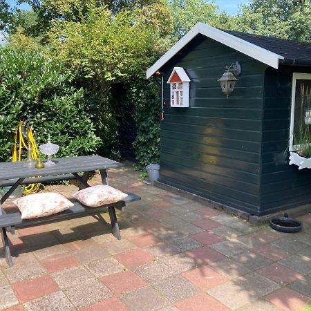皮滕Charmant Chalet Op Een Bospark Op De Veluwe别墅 外观 照片